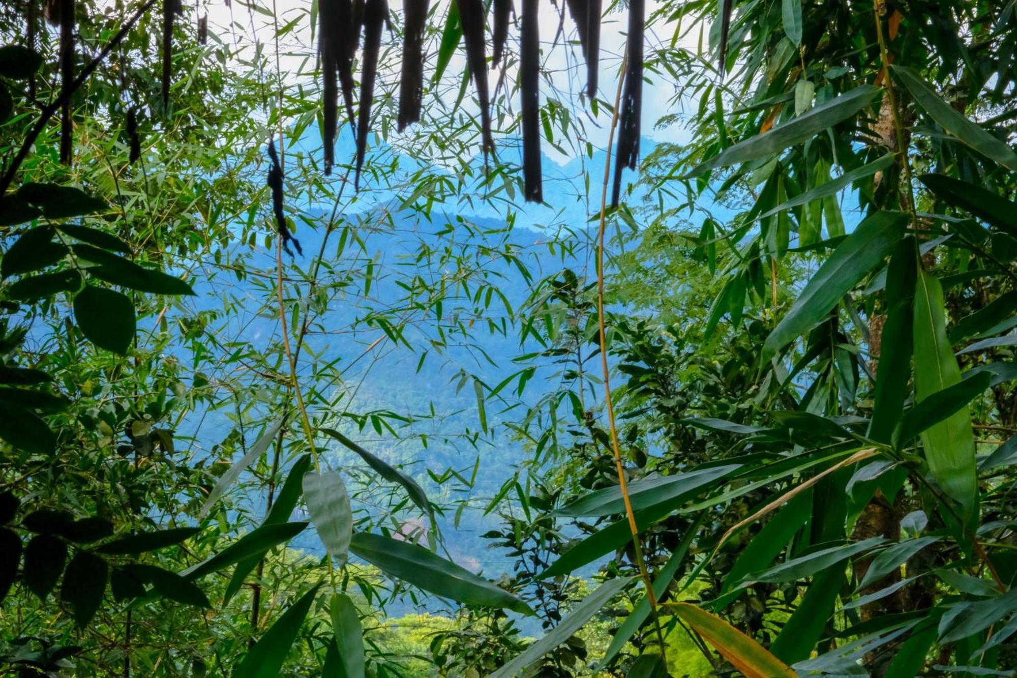 Pu Luong Jungle Lodge Esterno foto