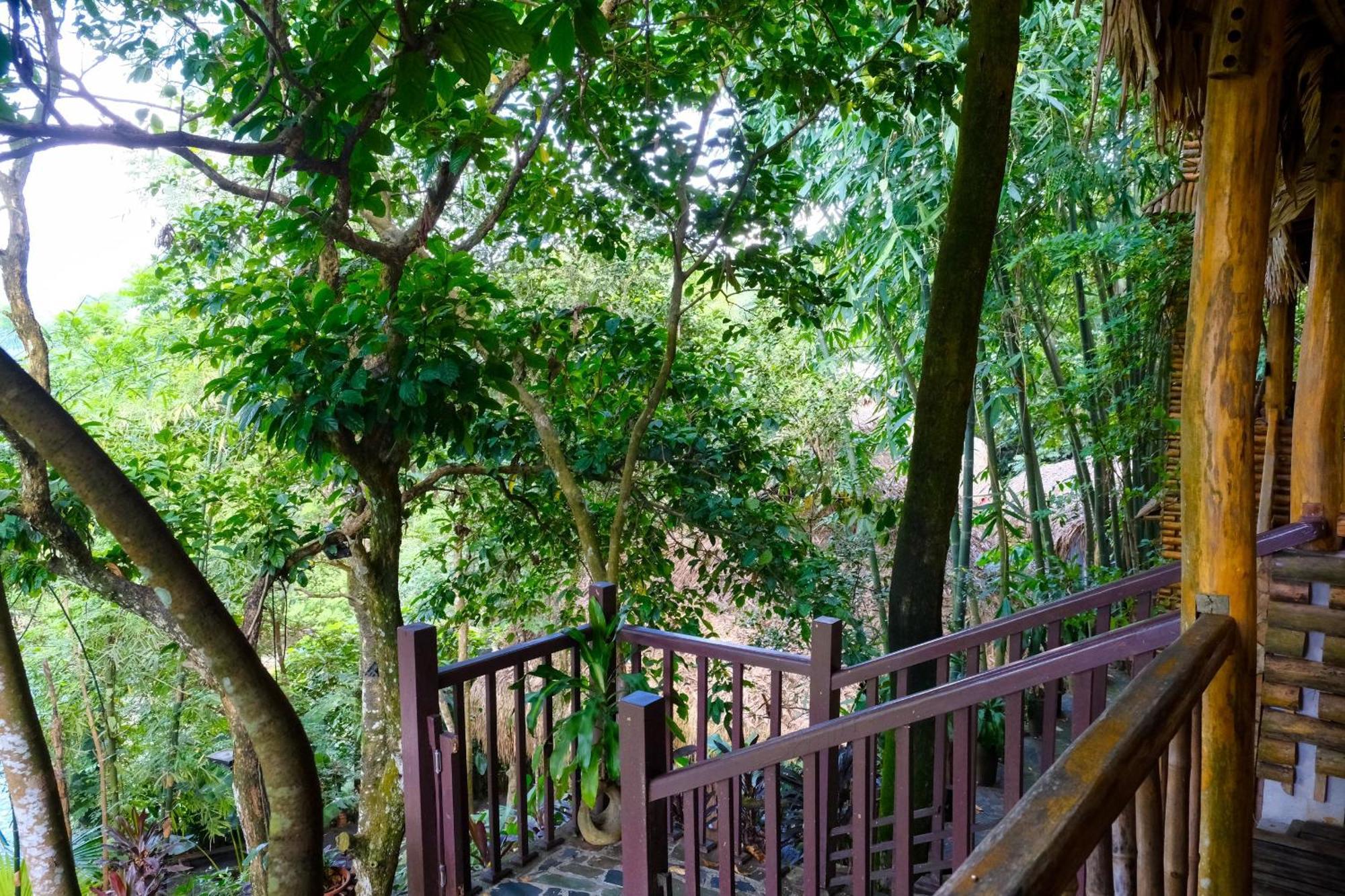 Pu Luong Jungle Lodge Esterno foto